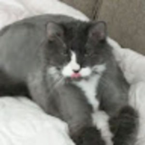 Meet your Posher, Kierra